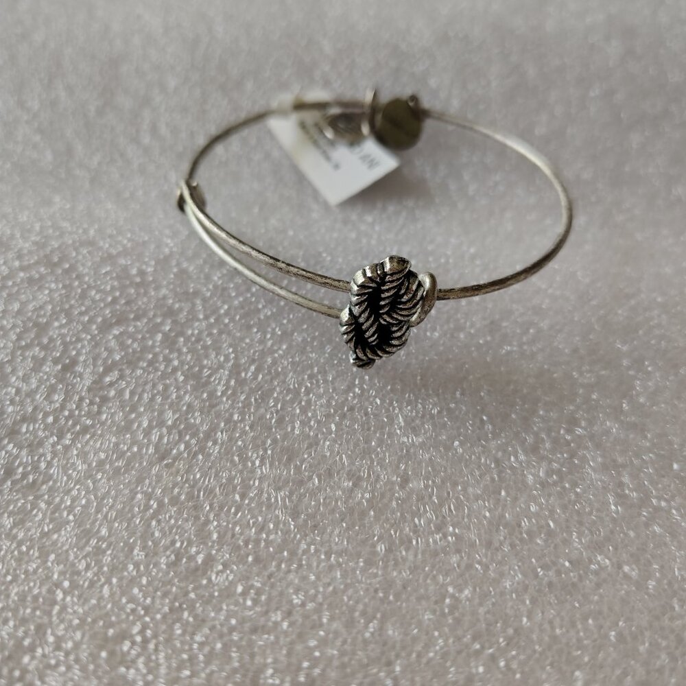 Alex and Ani Sailors Knot Slider  571